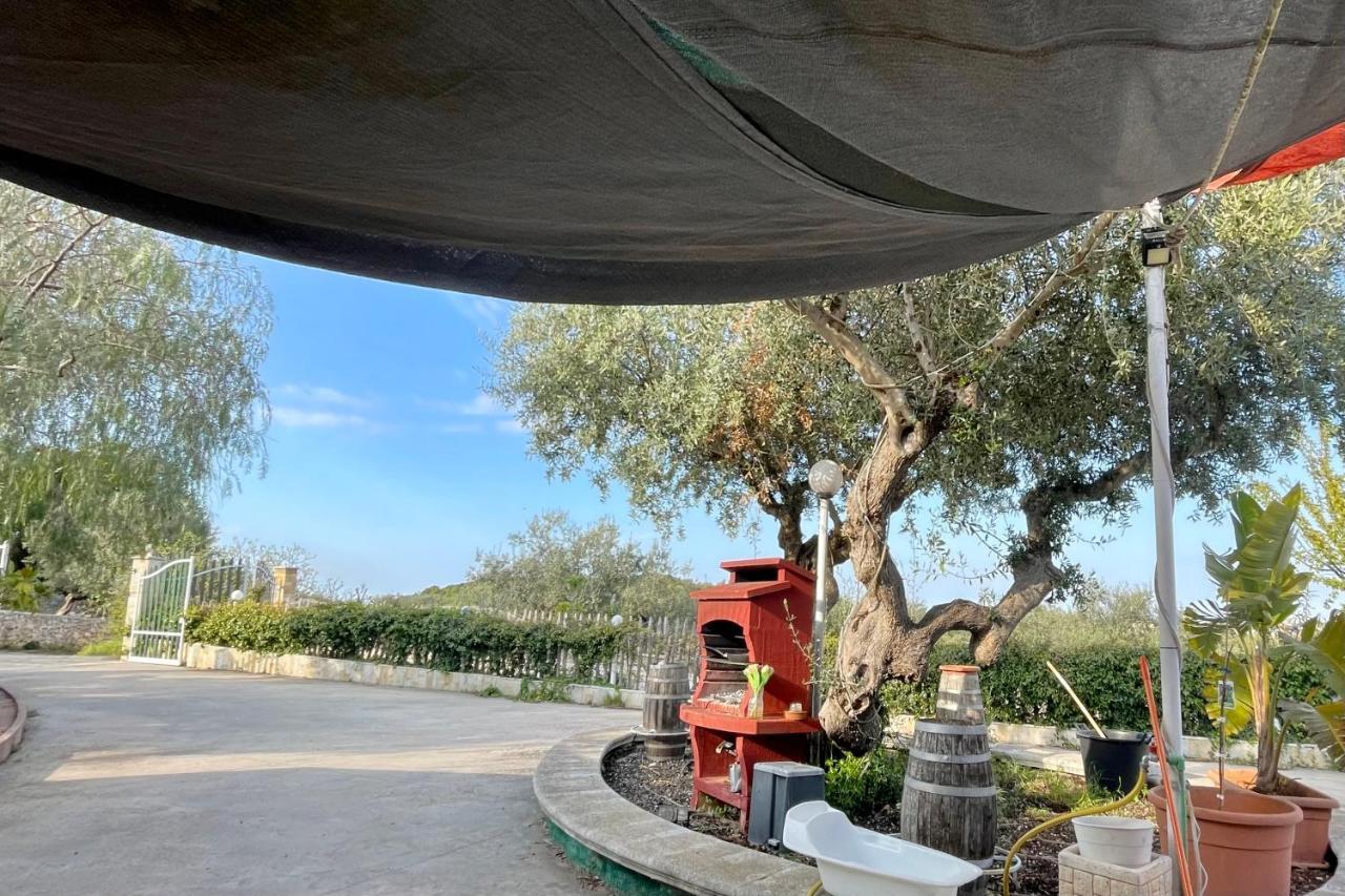 Music House A Castellana Grotte Confinante Via Per Turi 500M Dalle Grotte エクステリア 写真